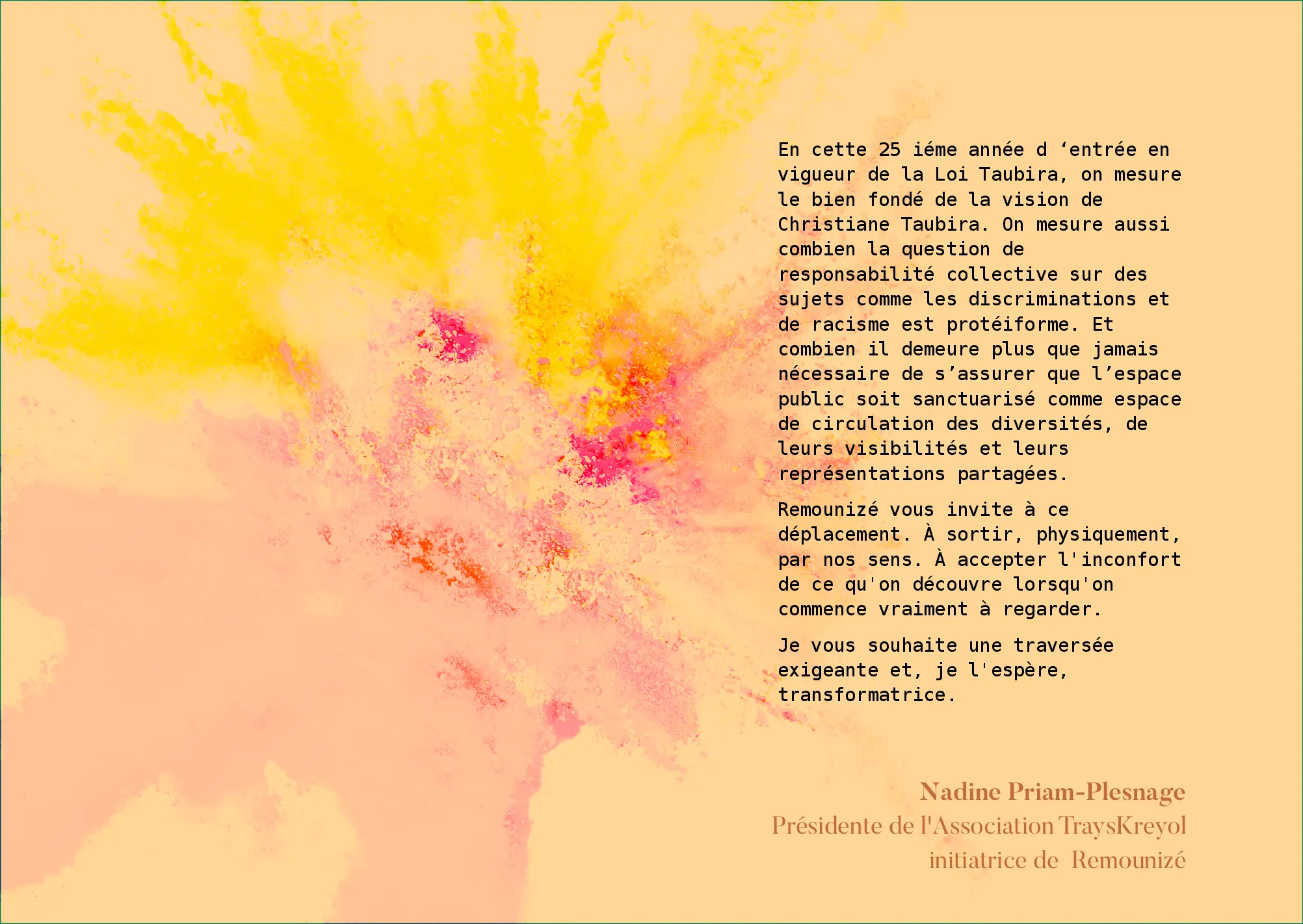 Remounizé fanzine — view 11 of 25